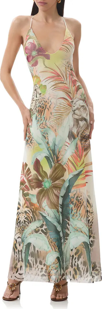 AFRM Romy Printed Mesh Maxi Slipdress | Nordstrom | Nordstrom