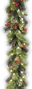 National Tree Company Pre-Lit Artificial Christmas Garland, Green, Crestwood Spruce, White Lights... | Amazon (US)