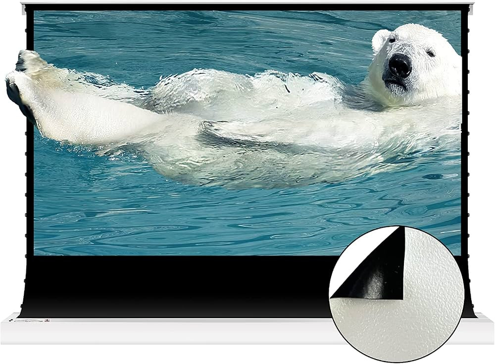 VIVIDSTORM Since 2004-Pearlescent Cinema White Plus Screen Material,White Housing Motorized Floor... | Amazon (US)
