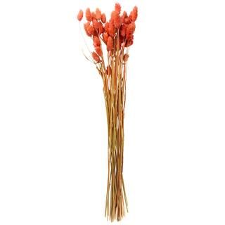 6 Pack: Coral Poa Grass Bundle by Ashland® | Michaels Stores