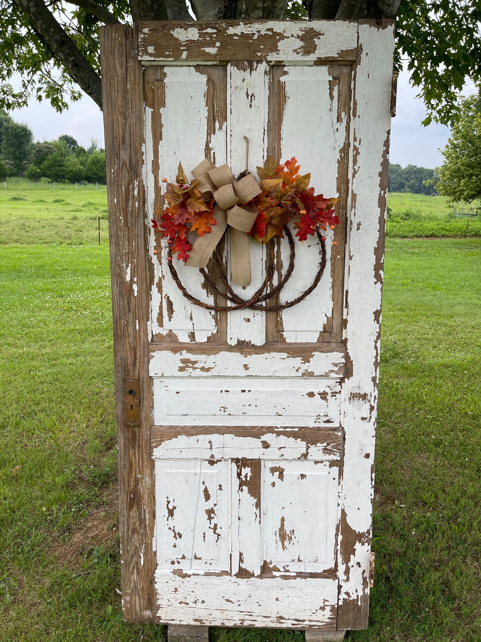 🚨 NEW FALL RELEASE 🚨
This pumpkin-shaped wreath is officially live and won’t last long!
Crafted on a grapevine base, wrapped in rich autumn leaves and finished with a big burlap bow — it’s the perfect door statement for the season. 🍂🎃

💥 Limited quantity
💥 One-and-done design
💥 Ships fast — ready to hang!



#LTKU #LTKSeasonal #LTKHome