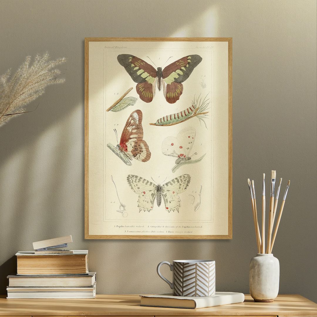 Vintage Butterfly Caterpillar Print, Oldschool Home Wall Art, Aesthetic Muted Farmhouse Room Deco... | Etsy (US)