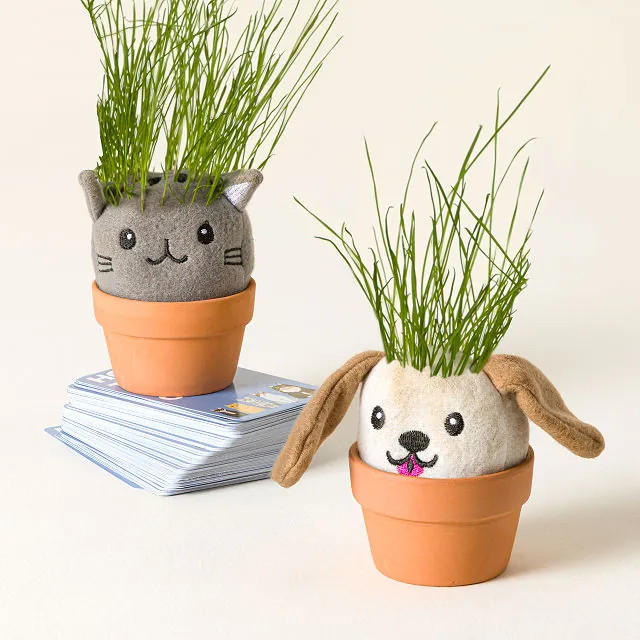 It’s Sprouting Cats & Dogs, 2 Grow Kits | UncommonGoods