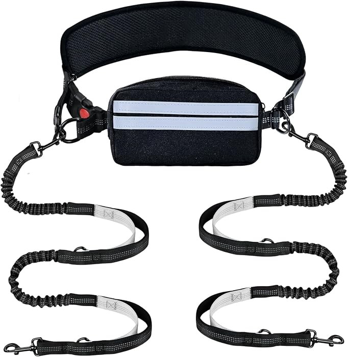 Hands Free Double Dog Leash No Tangle, Waist Leash for Dog Walking, Retractable Dog Leashes for M... | Amazon (US)