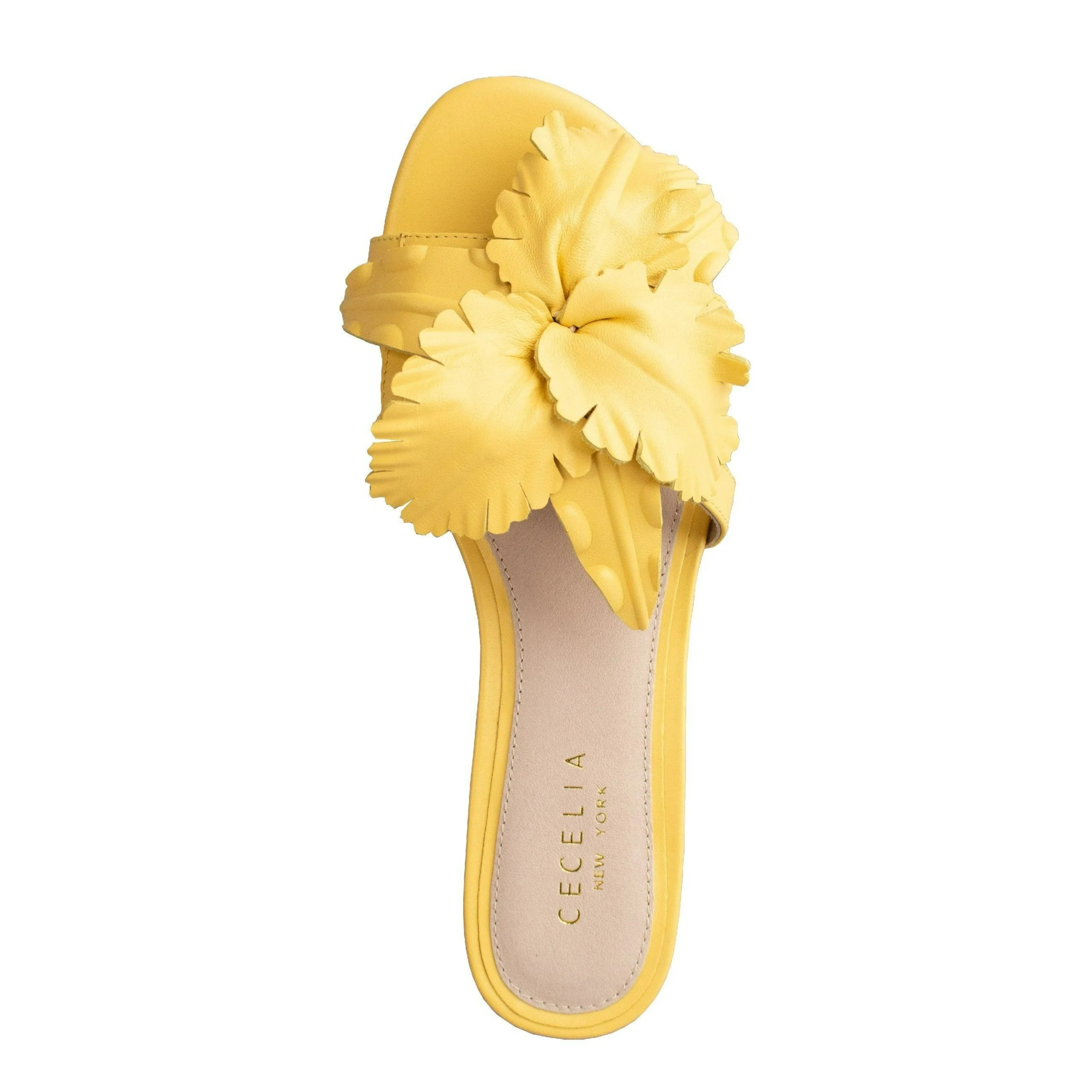 LILA | Cecelia New York