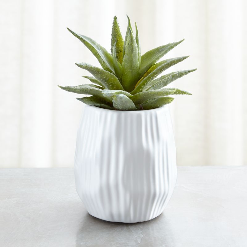 Potted Faux Single Succulent Plant + Reviews | Crate and Barrel | Crate & Barrel