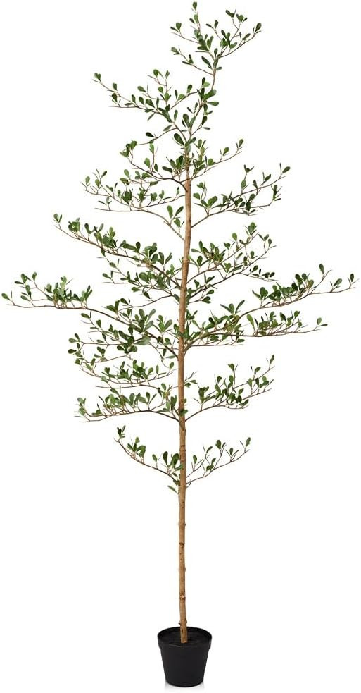 VeriNatural Black Olive Trees Artificial Indoor - 6ft Tall Fake Tree - Faux Floor Plants with Rea... | Amazon (US)