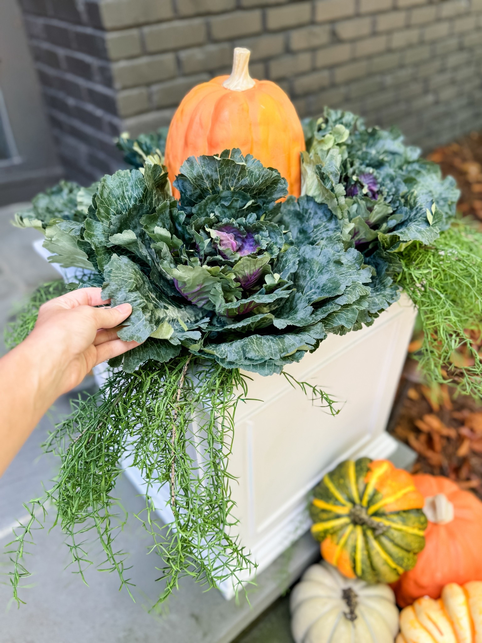 Fall Must Have! These faux cabbages are the perfect finishing touch to my fall porch decor. I love that they add a touch of green foliage to the space in a unique way. They look so realistic and I’ll be able to use them for many years to come!

Faux cabbages, fall porch decor, outdoor fall decorations, realistic faux plants, fall greenery, front porch styling, autumn porch ideas, seasonal home decor, porch decorating ideas, artificial fall plants, long lasting decor pieces, outdoor faux foliage, front porch makeover, cozy fall porch, timeless fall decorations, front door decor, neutral fall accents, realistic artificial cabbages, durable outdoor decor, fall decorating inspiration

#LTKFindsUnder50 #LTKHome #LTKSeasonal