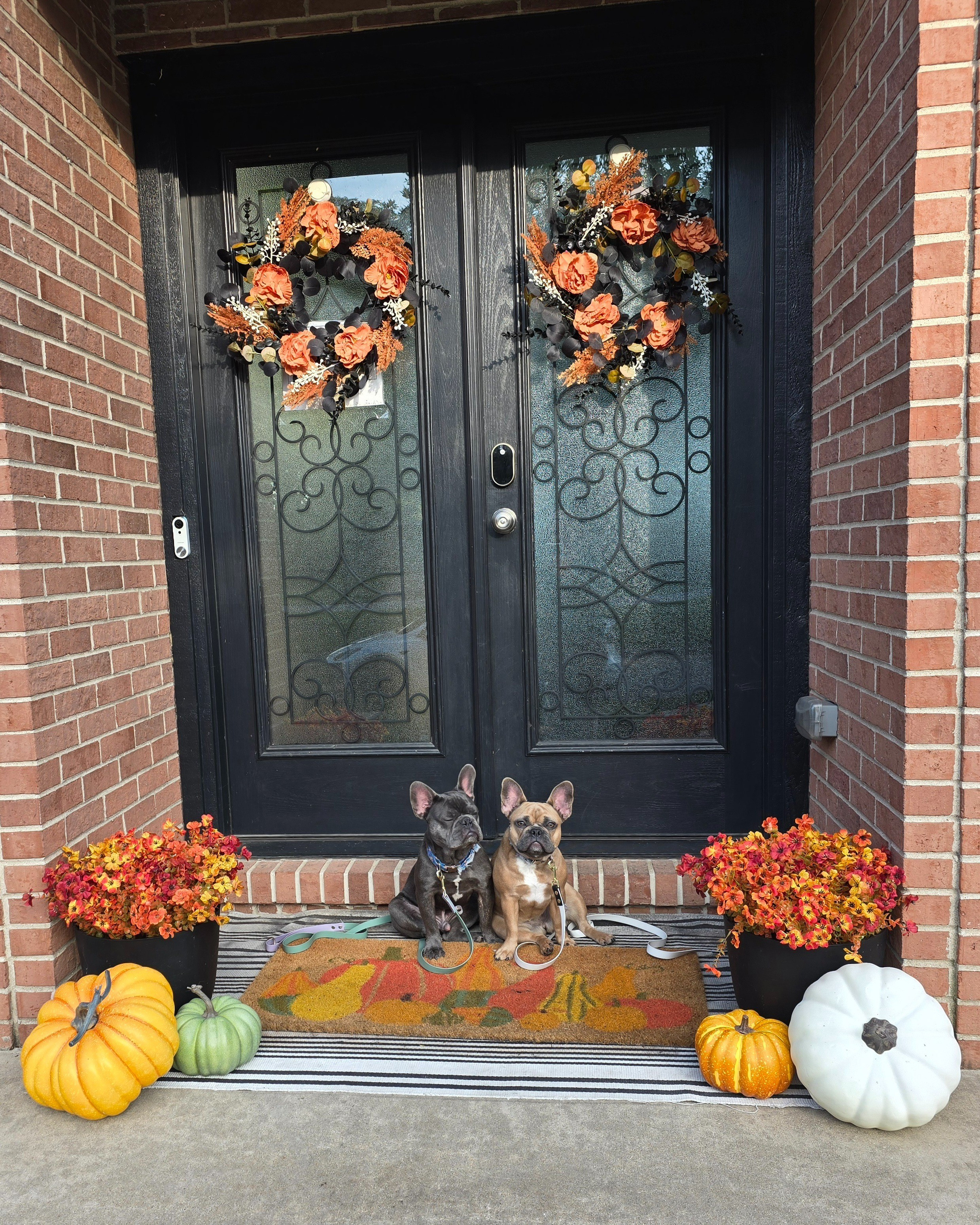 Fall readyOutdoor faux fall flowers

#LTKSeasonal #LTKHome #LTKFamily