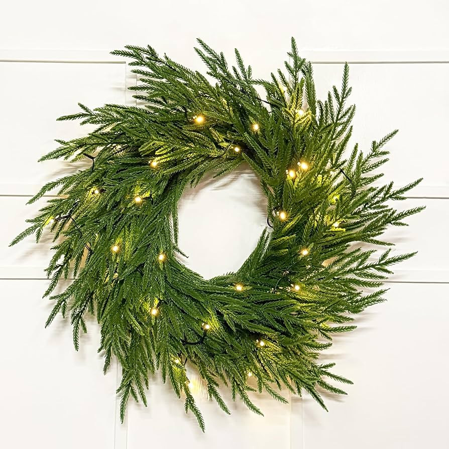 24" Lighted Norfolk Pine Wreath, Thick and Soft, Timer and 8 Modes, Artificial Christmas Wreaths ... | Amazon (US)