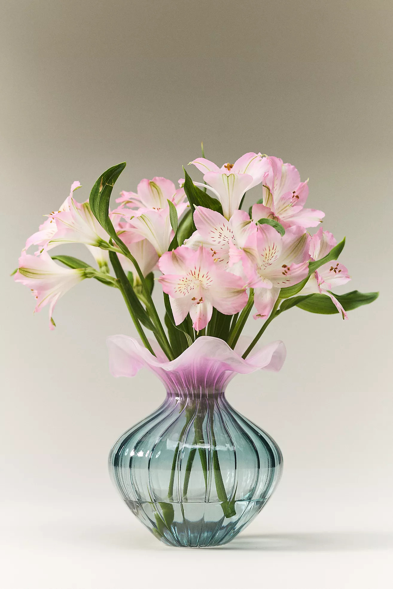 Lucy Ruffle Glass Vase | Anthropologie (US)