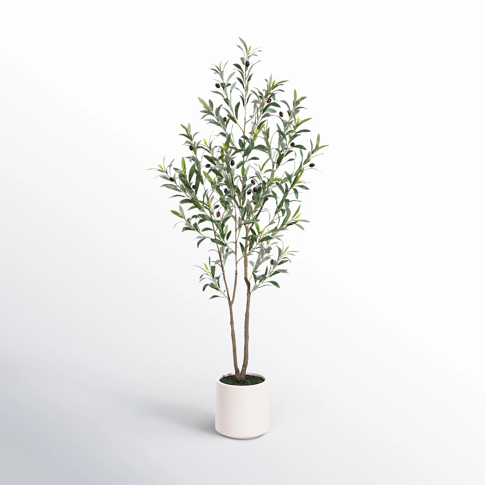 Altman Faux Olive Tree in White Planter, Lifelike Fake Olive Plant for Indoor and Outdoor Decor | AllModern