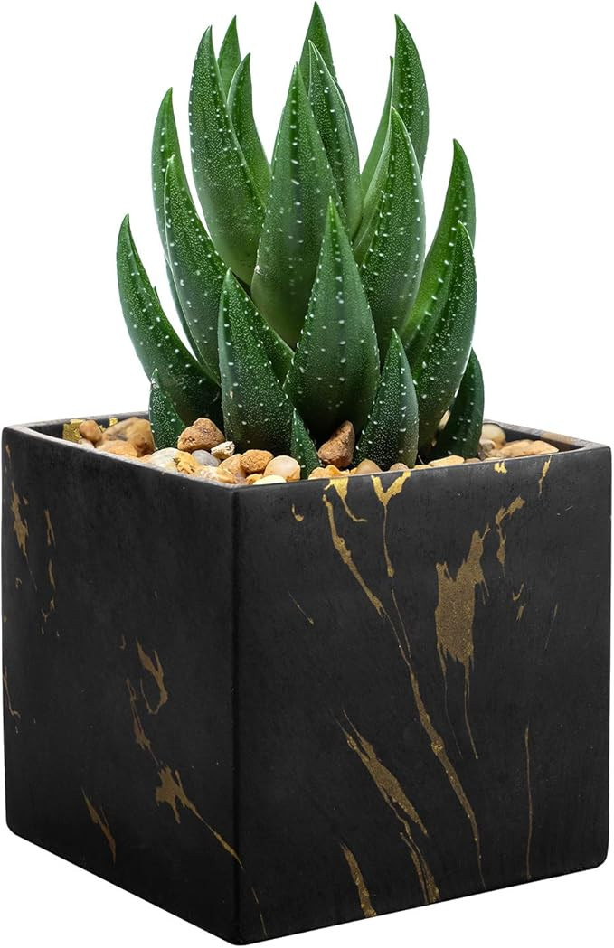 MyGift Marble Planter 5 Inch Modern Black and Gold Marbled Concrete Square Succulent Pot Flower V... | Amazon (US)