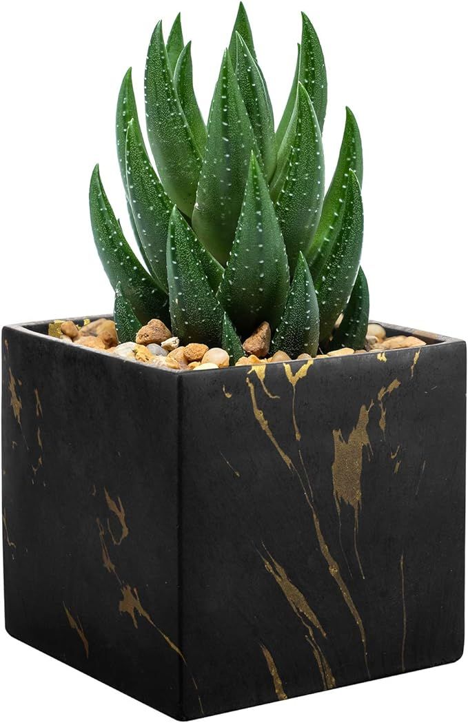 MyGift Marble Planter 5 Inch Modern Black and Gold Marbled Concrete Square Succulent Pot Flower V... | Amazon (US)