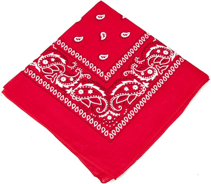 Boolavard 1s, 6s, 9s or 12 Pack Cowboy Bandanas Bandana with Original Paisley Pattern | Amazon (US)