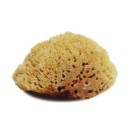 Jacks 10314 Natural Body Sponge - Large | Walmart (US)