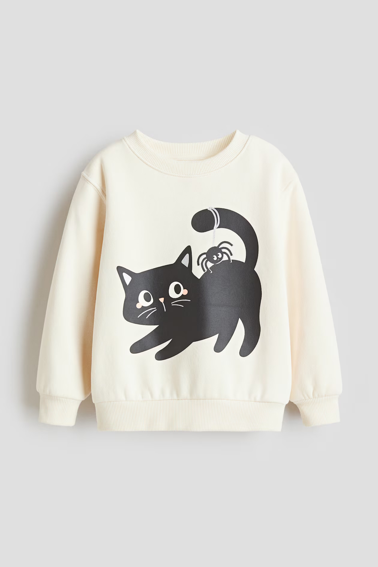 Printed Brushed-Inside Sweatshirt | H&M (US + CA)
