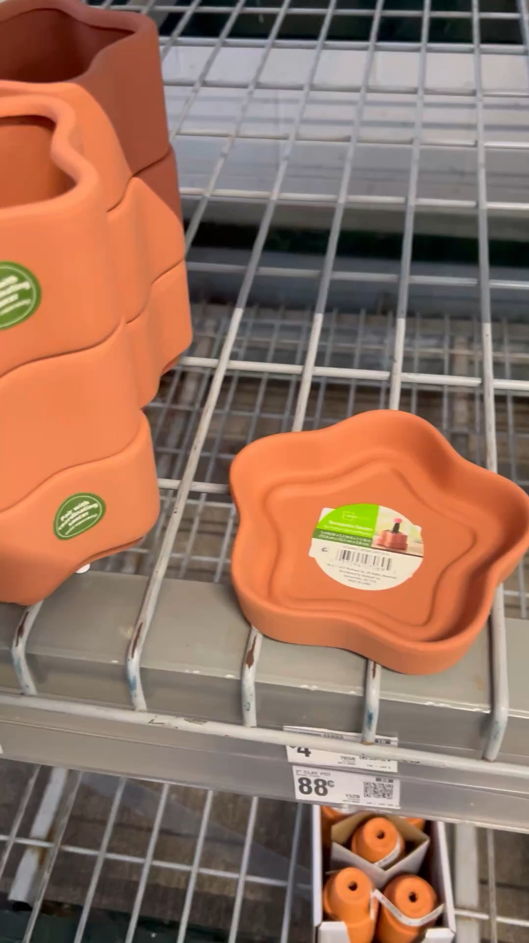 Gorgeous star shaped planter for your houseplants

#LTKWatchNow #LTKHome #LTKGiftGuide