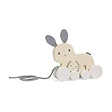 Bigjigs Toys FSC Certified Bunny & Baby Pull Along Toy - Eco-Friendly Rabbit Pull Along with Cord &  | Amazon (US)
