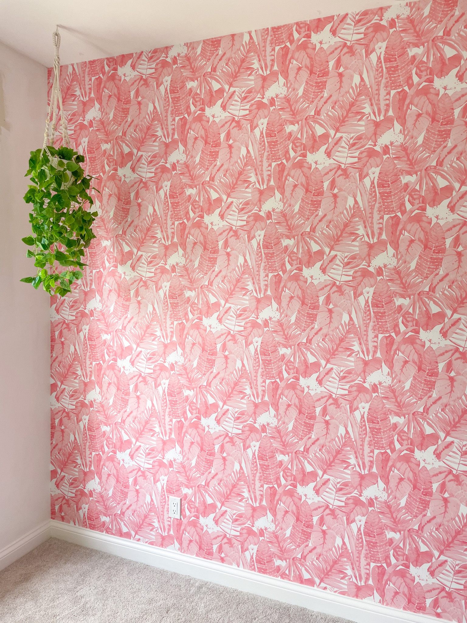 Nursery wallpaper for baby girl 🥰 and a $15 hanging plant! 😍

#LTKbump #LTKbaby #LTKhome