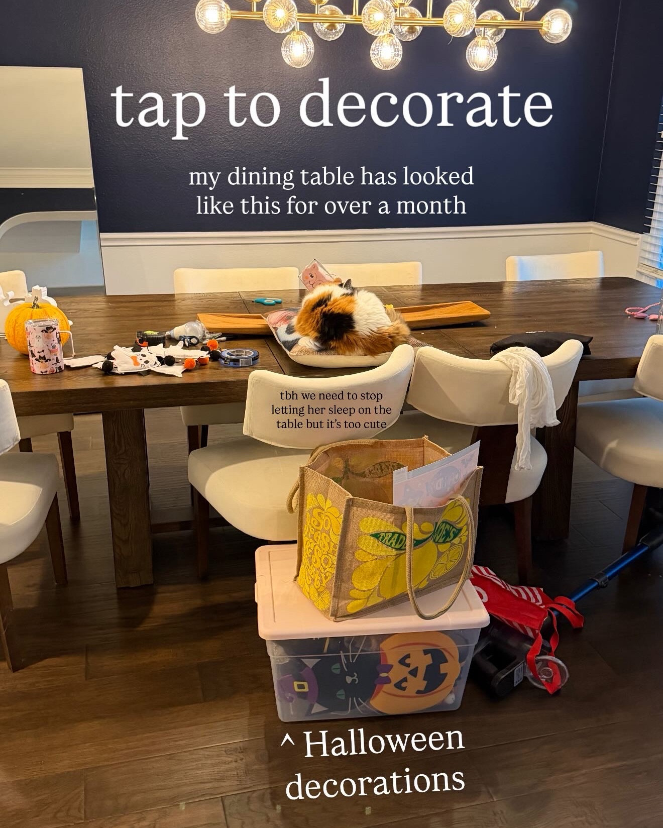 I finally decorated for Halloween, these are the corners of my house I’m proudest of

#LTKHalloween #LTKSeasonal #LTKHome