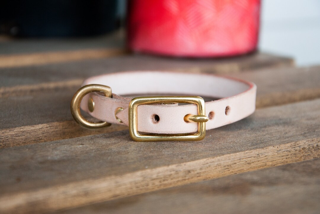 Minimalist Personalized Leather Dog Collar  Personalized - Etsy | Etsy (US)