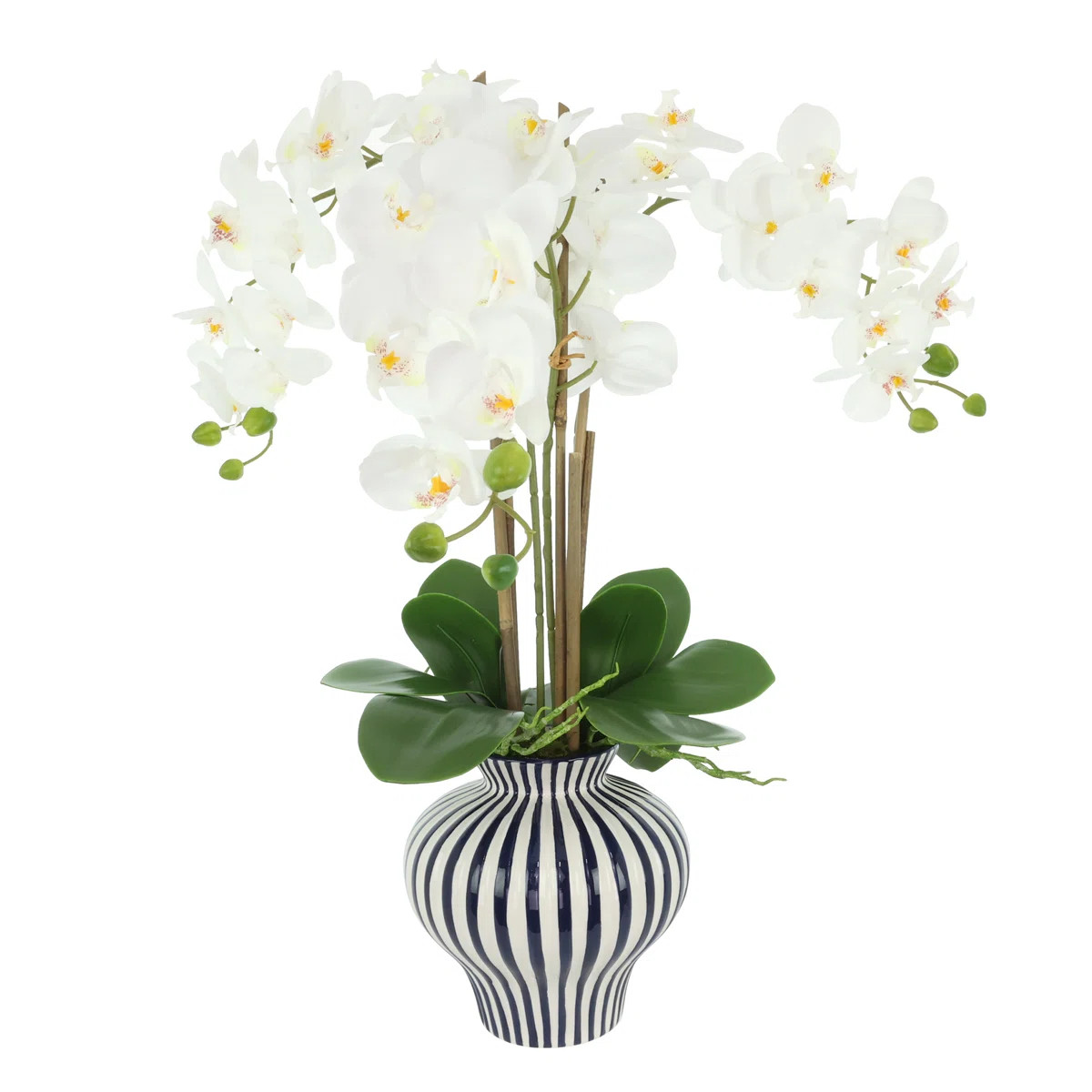 Orchids Arranged in Decorative Ceramic Vase | Wayfair North America