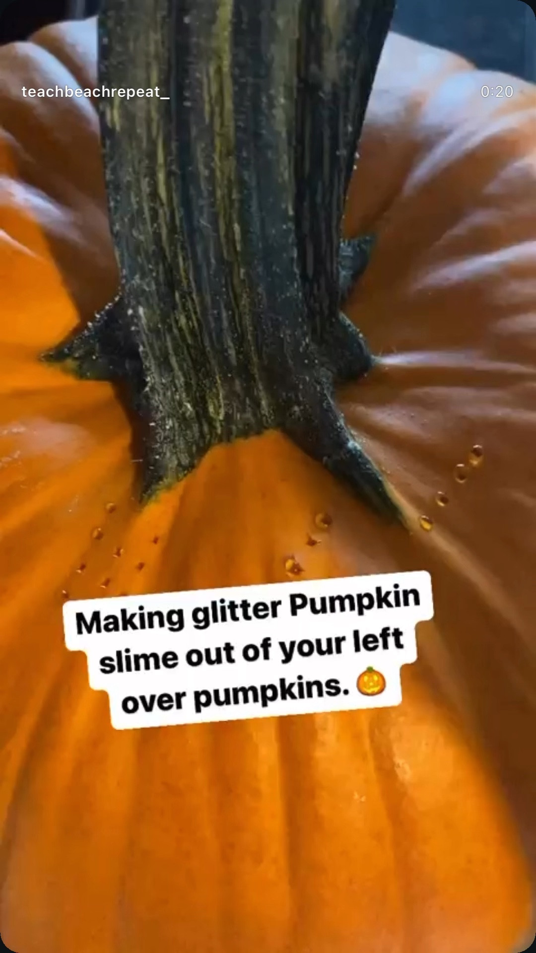Recycle your pumpkin ♻️
🎃 Pierce pumpkin with a fork.
🎃 Put in the oven for about an hour.
🎃 Open the pumpkin & place the pumpkin guys in a bowl 
🎃 Add 1 cup Elmer’s glue
🎃 1/2 cup liquid laundry starch , more as need!
✨And add some glitter✨

#fall #pumpkinslime #slime #pumpkinpatch #pumpkin #fallcrafts #fallscience

#LTKKids #LTKdayinmylife