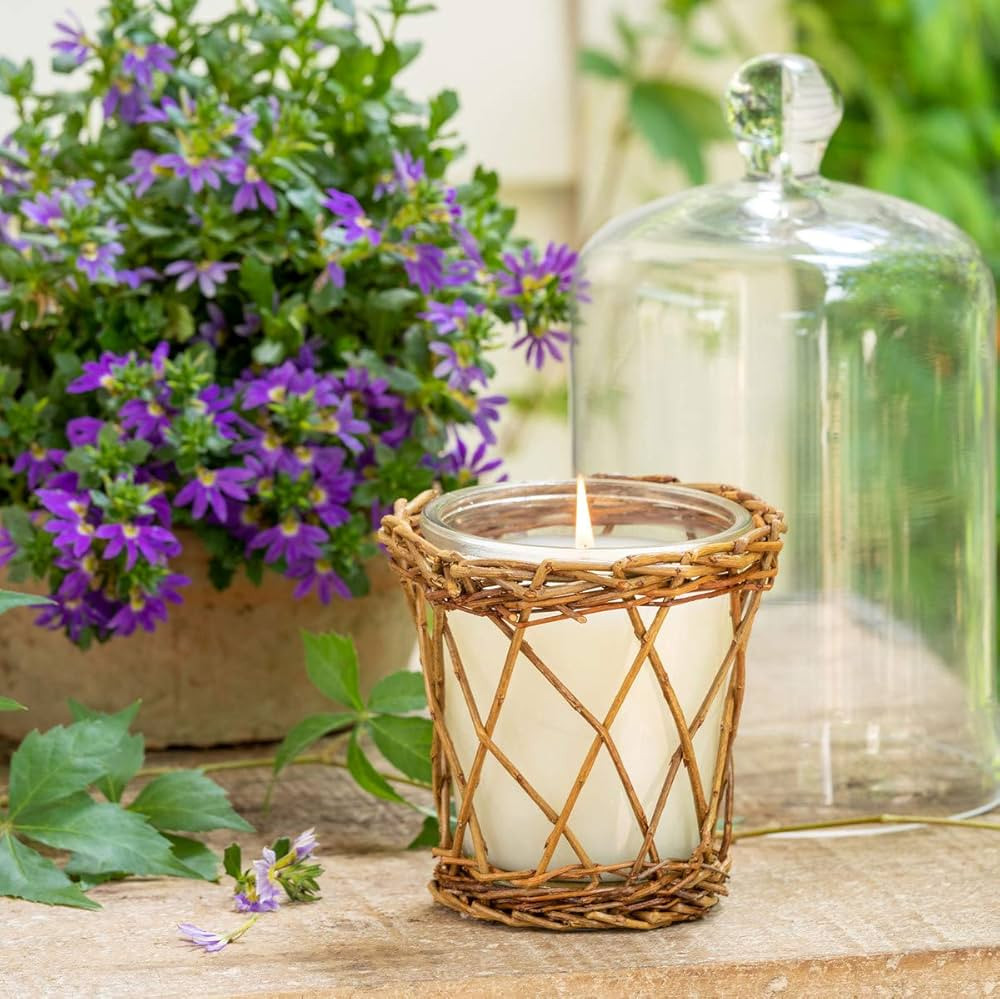 Park Hill Collection ENP10014 Willow Candle, 12 oz (Grace and Gardenia) | Amazon (US)