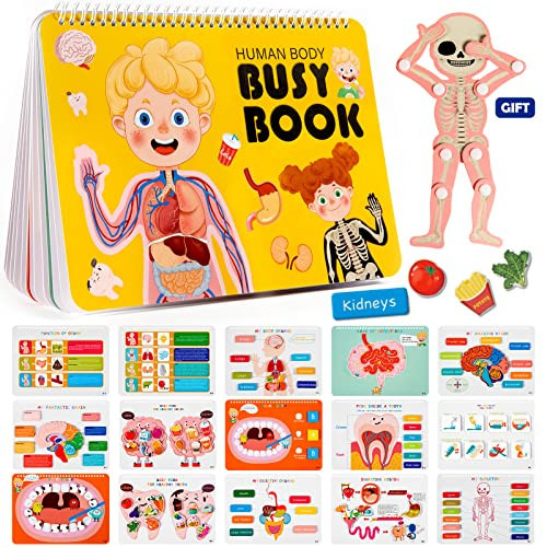 Freebear Montessori Busy Book for Kids, Human Body Anatomy Book for Toddlers, Preshool Kindergarten Learning Activities, Autism Sensory Toys, Travel Toys, Gifts for Girls and Boys 4 5 6 7 8 Years | Amazon (US)