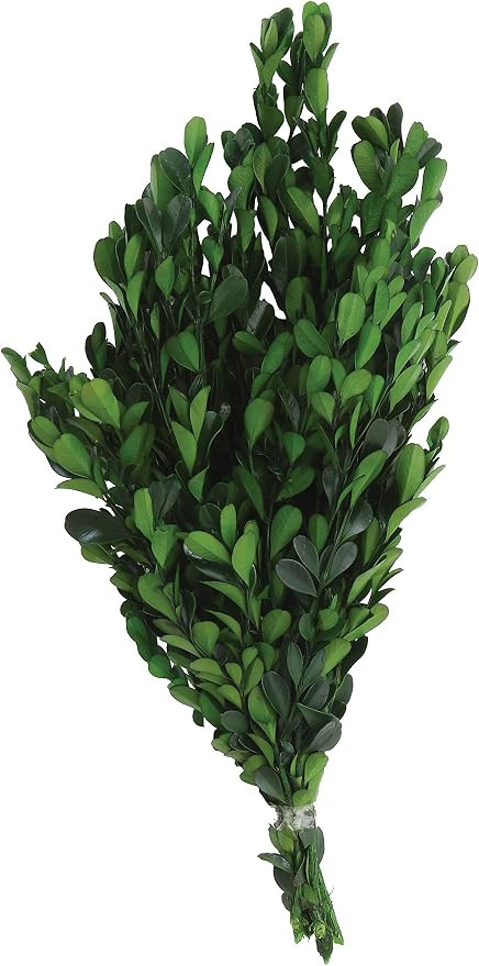 Creative Co-op Boxwood Bouquet, Green | Amazon (US)