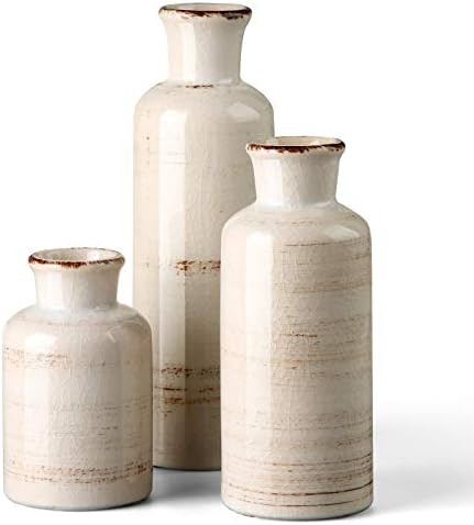 CwlwGO- Ceramic Rustic White Vase for Home Decor, Set of 3 Decorative Vases for Table, Kitchen, L... | Amazon (CA)
