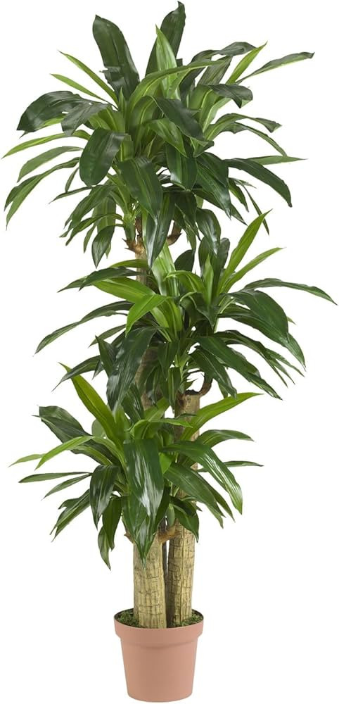 Nearly Natural - 6584 57in. Corn Stalk Dracaena Silk Plant (Real Touch), 24" x 28" x 57", Green | Amazon (US)