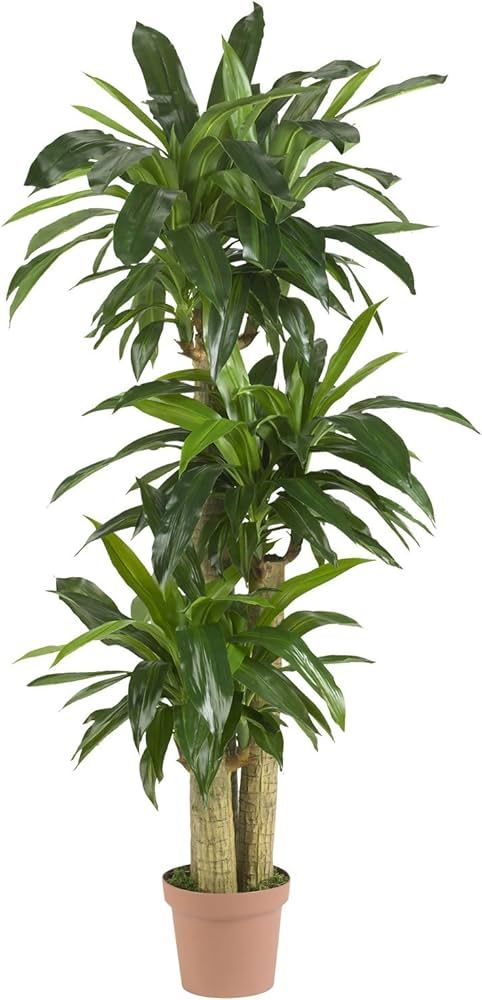 Nearly Natural - 6584 57in. Corn Stalk Dracaena Silk Plant (Real Touch), 24" x 28" x 57", Green | Amazon (US)