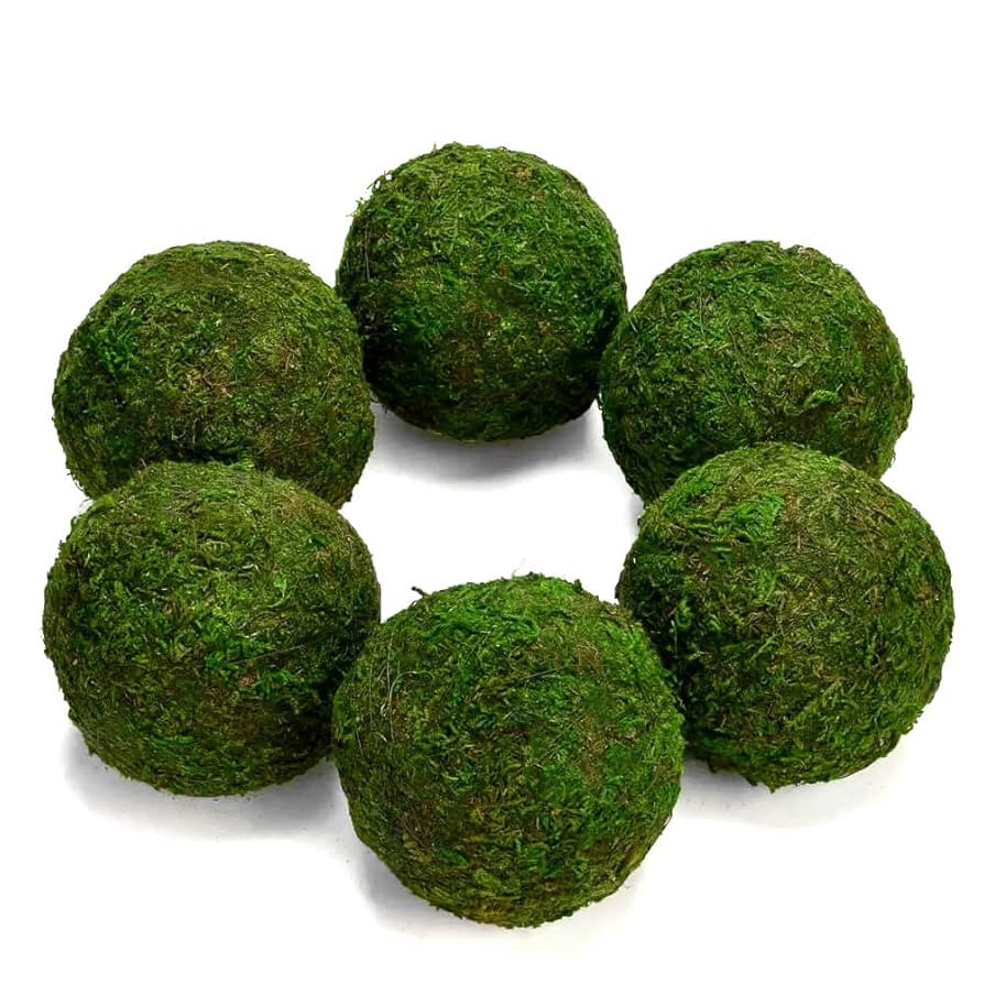 Moss Balls Preserved All Natural, 3.5"-Set of 6 (Natural Green) | Amazon (US)