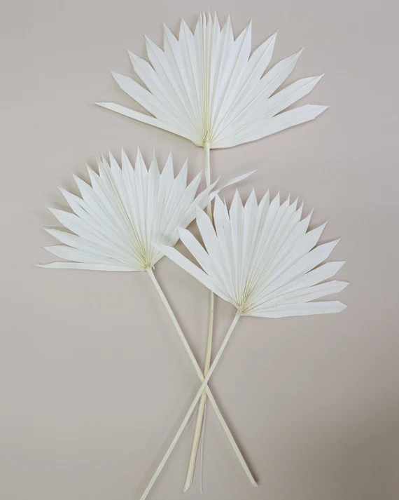 White Sun Palm Leaves, Palm Fronds, Real Dried Flowers, Boho Fan Leaves, Wedding Décor, Home Dé... | Etsy (US)