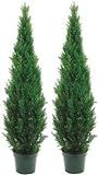 Two 5 Foot Outdoor Artificial Cedar Topiary Trees Potted Plants Two Peace Construction | Amazon (US)