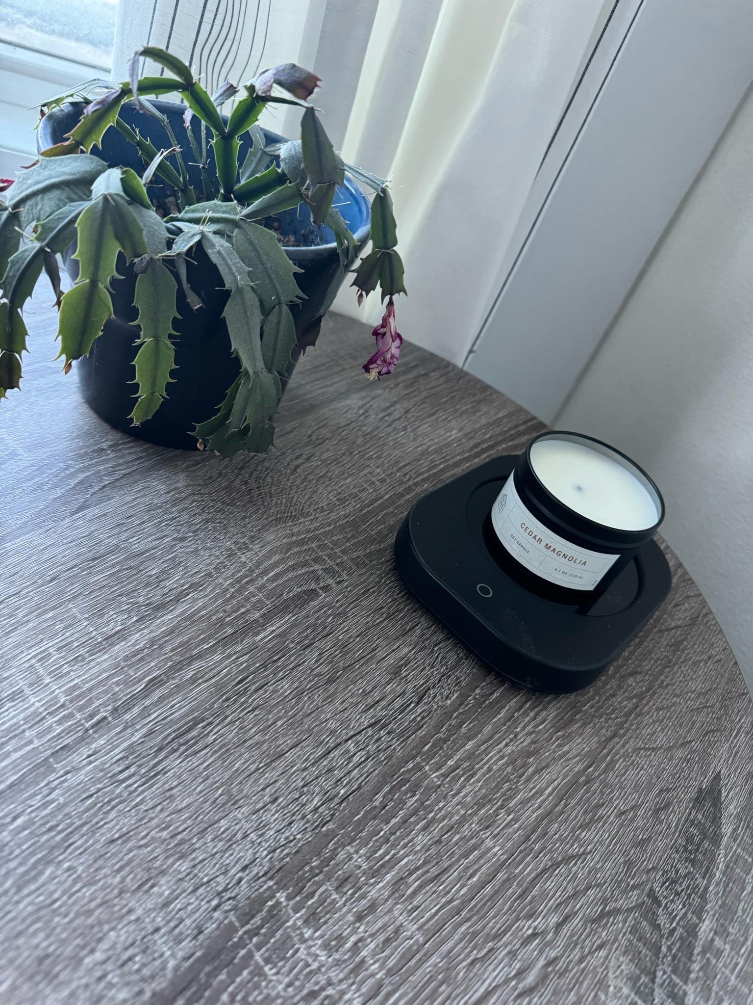 I love candles, but I always fear I’ll leave one burning while I’m not home. This guy here will help me enjoy the smell all around the house! 

#LTKhome #LTKfindsunder50 #LTKMostLoved