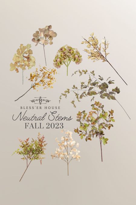 Ivory and Brown Fall Leaf
Stem Eucalyptus Bush, neutral, Spray Stem, Greenery, Faux Eucalyptus, Artificial Flowers, Floral stems, Flower Bunch, Home Accents, Leaf Spray, Fall Floral Stems, Fall Decor, Autumn Decor, Vase Filler, Floral Supply|
[Ivory and Brown Fall Leaf
Stem Eucalyptus Bush, neutral, Spray Stem, Greenery, Faux Eucalyptus, Artificial Flowers, Floral stems, Flower Bunch, Home Accents, Leaf Spray, Fall Floral Stems, Fall Decor, Autumn Decor, Vase Filler, Floral Supply

#LTKSeasonal #LTKhome