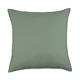 Simple Chic Solid Color Light Forest Sage Green Throw Pillow, 18x18, Multicolor | Amazon (US)