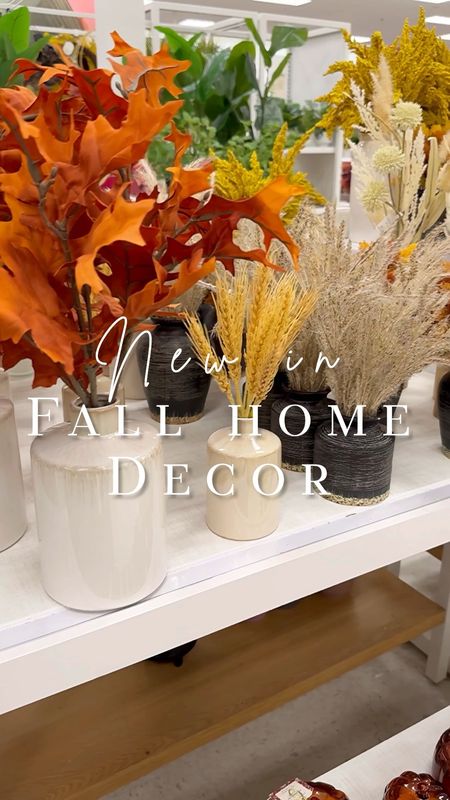 New Fall Decor at Target! 

These fall staples are sure to warm up your home for the season. I linked these and more new styles in my profile, or follow my LTK shop @TheirHomeForLess to shop my feed fall 🌻 

•

@target #target #targetstyle #homegoods #walmarthome #asmr #shopping #shopwithme #ａｅｓｔｈｅｔｉｃ #aesthetic #homedecor #bohostyle #modernfarmhouse #modernhome #kitchendecor #trending #tiktok #affordablehomedecor #entrywaydecor #dormdecor #plants #bedroomdecor #livingroomdecor #shelfstyling #homestyling #homereels #neutraldecor #fauxplants #hobbylobby #hobbylobbyclearance 

#LTKhome #LTKunder50 #LTKSeasonal