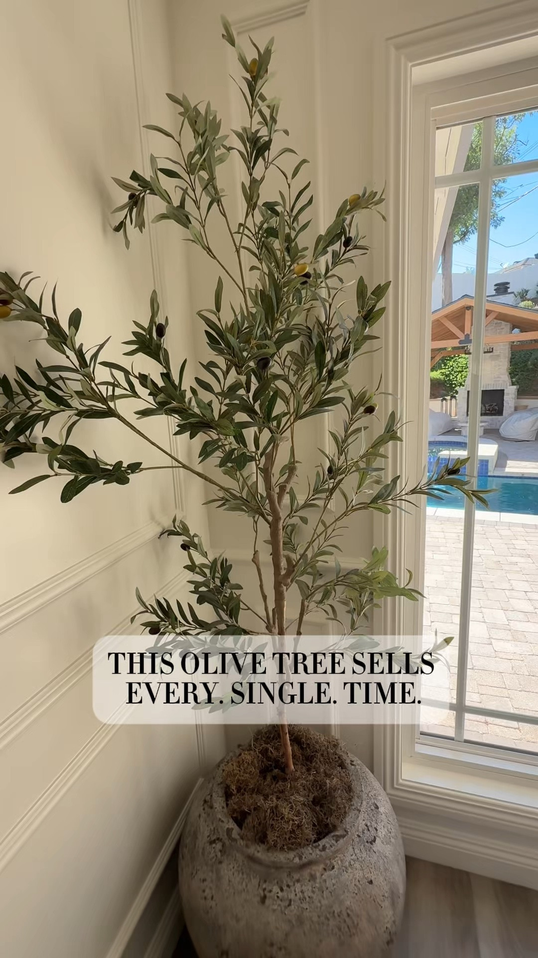 This olive tree sells every single time! Best purchase 🤌🏻

#LTKU #LTKHome