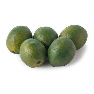Large Limes by Ashland® | Michaels Stores