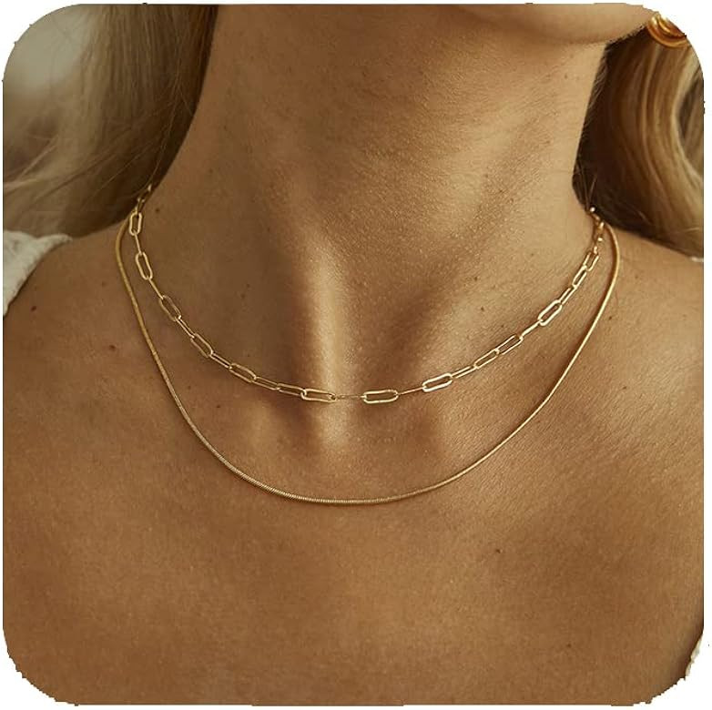 FUNEIA 14K Gold Plated Snake Chain Necklace for Women Dainty Layered Herringbone Choker Necklaces... | Amazon (US)