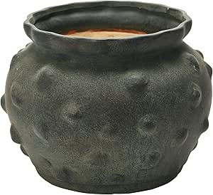 Creative Co-Op Terra-Cotta Raised Dots Vase, 11" L x 11" W x 9" H, Black | Amazon (US)