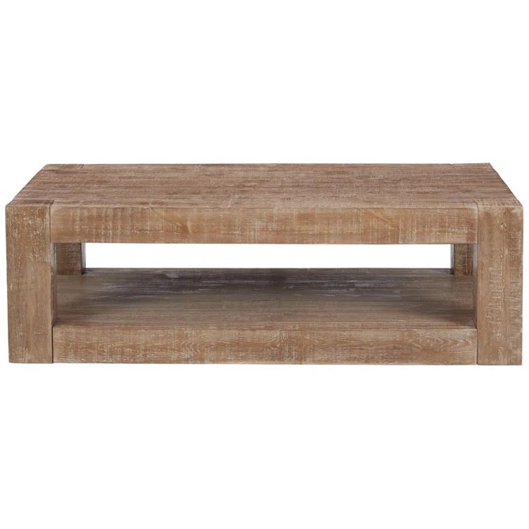 Waltleigh Solid Wood Floor Shelf Coffee Table with Storage | Wayfair Professional