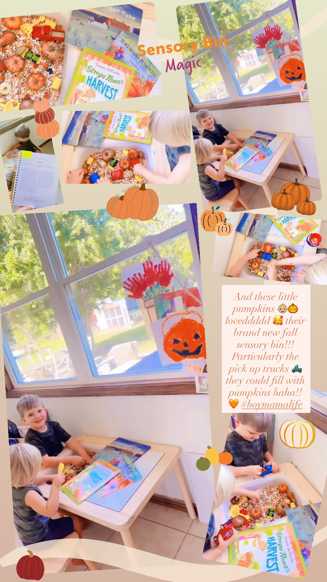 And these little pumpkins 👶🏼🎃 loveddddd 🥰 their brand new fall sensory bin!!! Particularly the pick up trucks 🛻 they could fill with pumpkins haha!! 🧡 #boymamalife