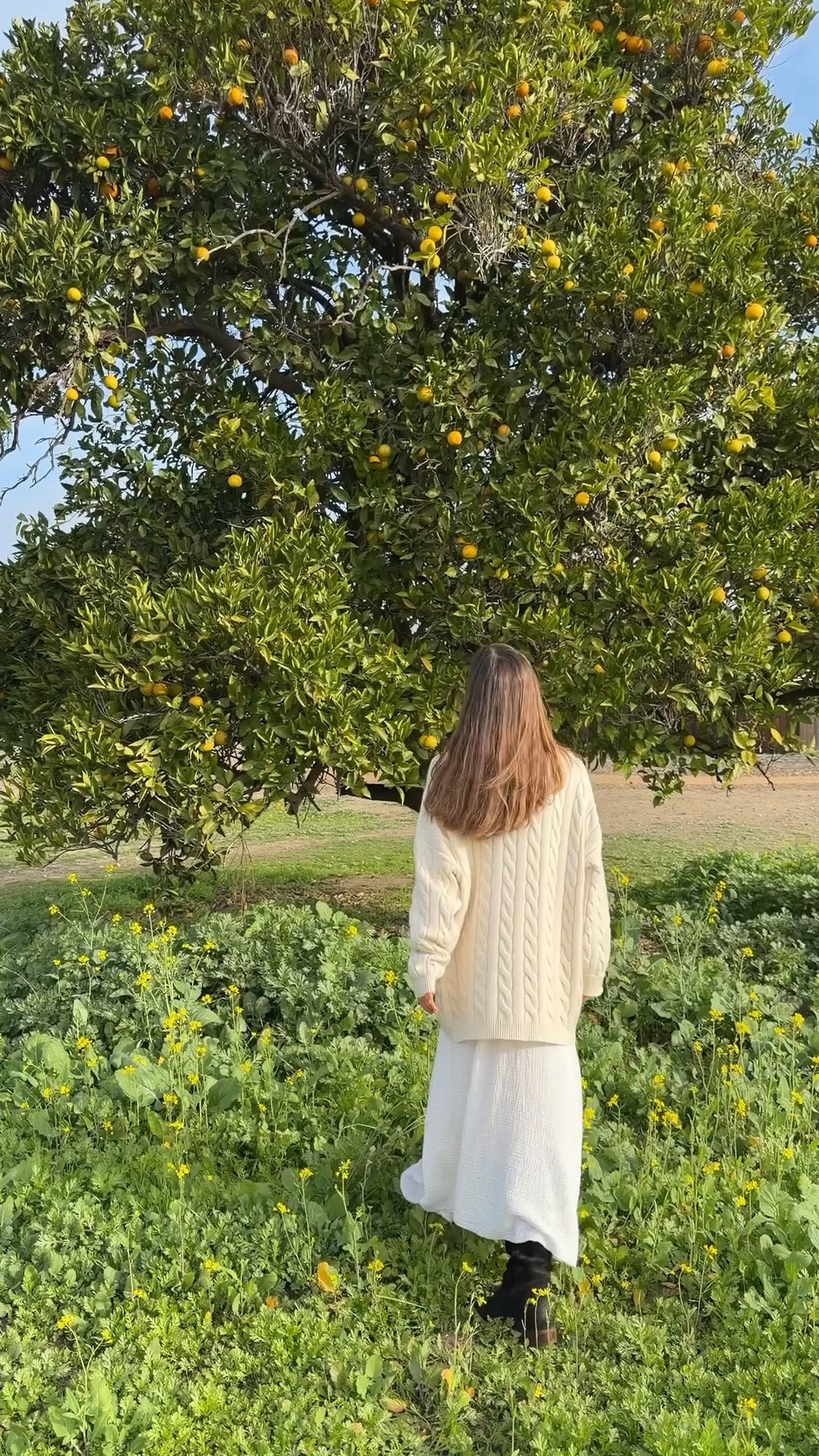 Strolling through fields of orange trees with some favorite cozies! I added some similar styles here! #Target 

#LTKGiftGuide #LTKSeasonal #LTKPetite