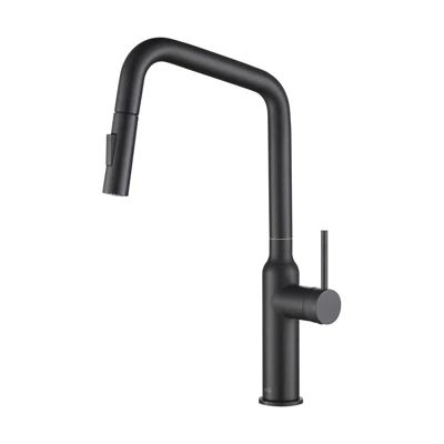 Macon Pull Down Single Handle Kitchen Faucet with Accessories | Wayfair North America