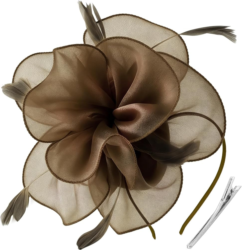 DRESHOW Fascinators Hat Tea Party Headwear Ribbons Feathers on a Headband and a Clip for Women | Amazon (US)